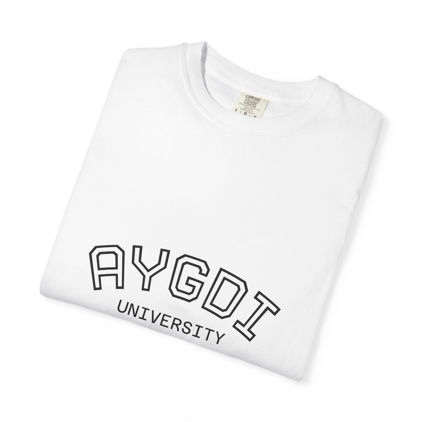 AYGDI University Graphic T-Shirt — 'All You Gotta Do Is' Vintage Campus Tee