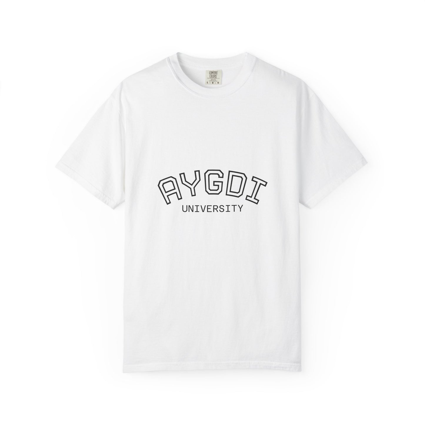 AYGDI University Graphic T-Shirt — 'All You Gotta Do Is' Vintage Campus Tee